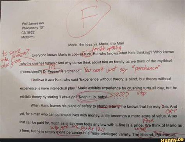 Phil Jamesson Philosophy 101 \ Midterm Mario, the Idea vs. Mario, the
