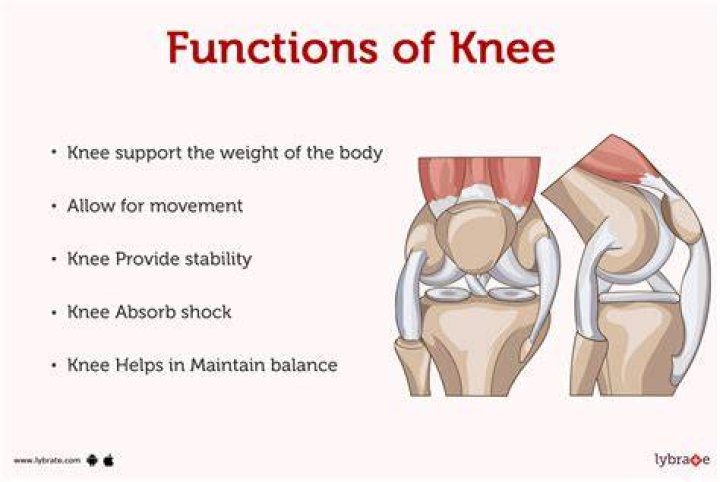 The Knee Thing Origin The Knee Thing Know Your Meme