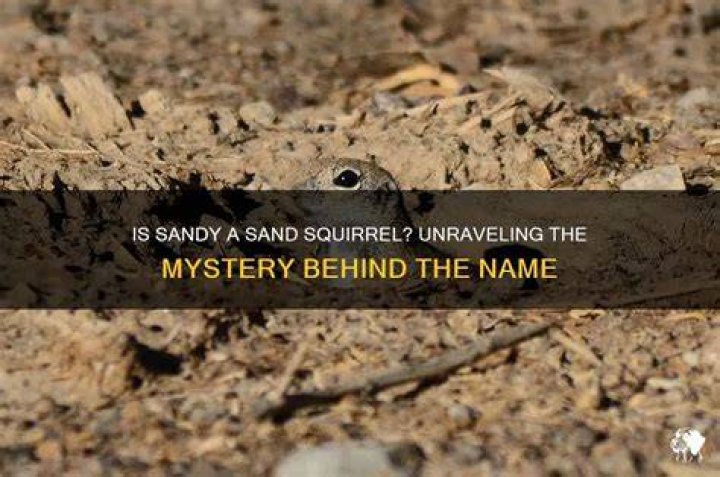 Unraveling The Mystery: Where Is Sandy Bentley Now?